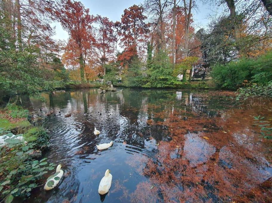 Appart. Baila, Proche De Bordeaux Et St Emilion Libourne Dış mekan fotoğraf